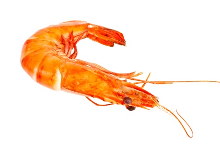 Steamed shrimp in isolated  on whitebackgroundの写真素材