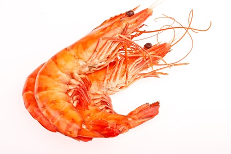 Steamed shrimps in isolated  on whitebackgroundの写真素材