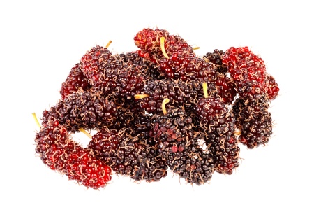 a group of mulberrys  in isolated on whiteの写真素材