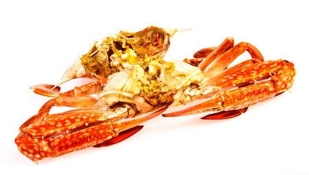 Steamed Blue crab in isolated on white backgroundの写真素材