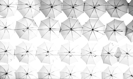 a group of  white umbrella  on  white backgroundの写真素材