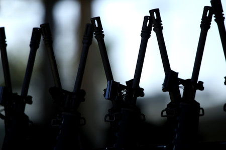 group of military rifles