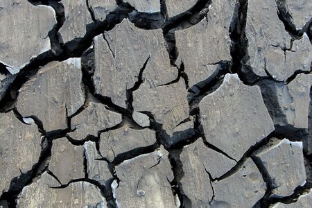 The dry and cracked soil surfaceの写真素材