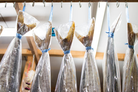 Fish tailsの写真素材