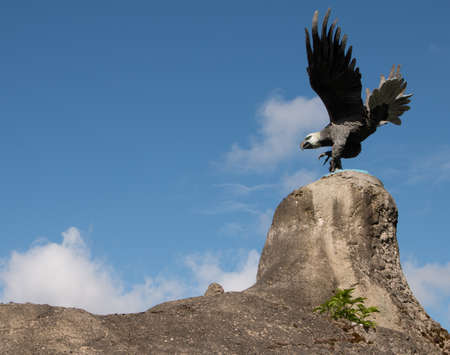 Eagle model on top of moutainの写真素材