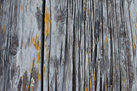 Wood background textureの写真素材