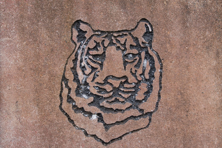 Tiger face carved stoneの写真素材
