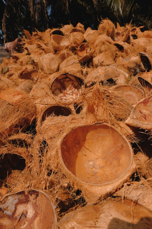 Pile of coconut shells. A young coconut without meat and water cracked for transform to many...