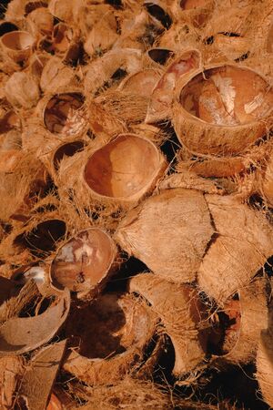 Pile of coconut shells. A young coconut without meat and water cracked for transform to many products.の写真素材