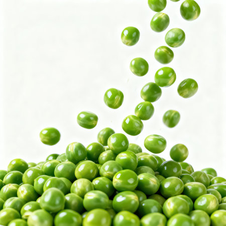 Fresh green peas falling on white background with copy space for text.の素材