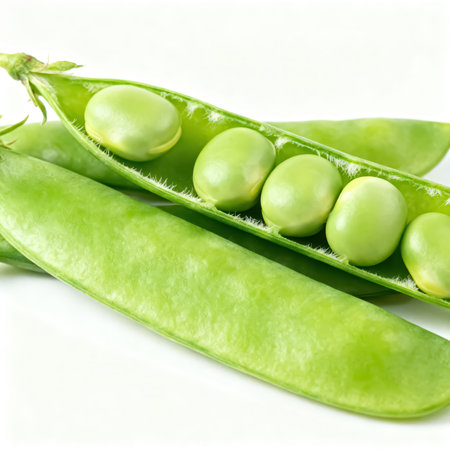 Green peas on a white background. Close-up. Isolatedの素材