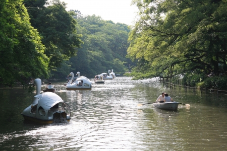 Relaxing with family at Inokashira park in Tokyoのeditorial素材