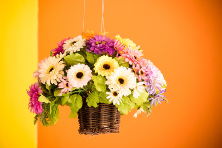Outdoor flower basket decorating an orange wallの写真素材