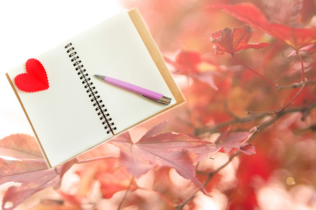 Notebook with Heart on the autumn backgroundの写真素材