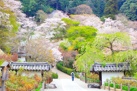 NARA, JAPAN - April 13: Spring spot in Nara at the ancient temple,のeditorial素材