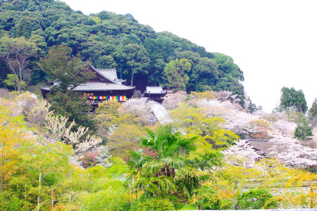NARA, JAPAN - April 13: Spring spot in Nara at the ancient temple,のeditorial素材