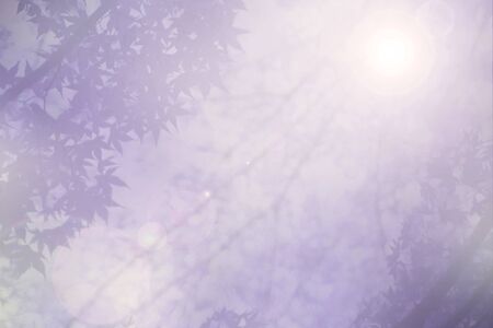 Abstract blur and soft natural autumn backgroundの写真素材