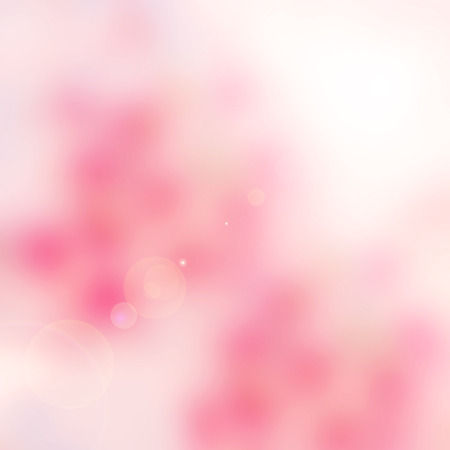 Abstract soft and blur pink sakura for backgroundの写真素材