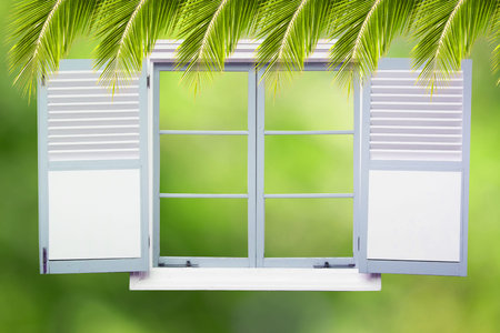 Tropical coconut leaf on natural green background with window frame
