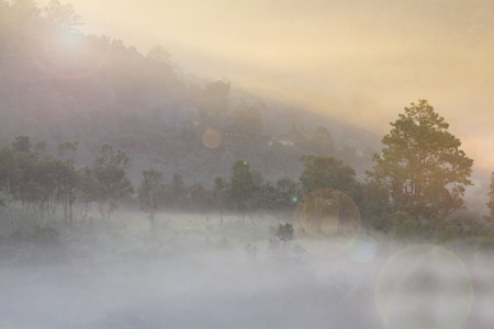 Abstract blurred background of mountain landscape view after sunriseの写真素材