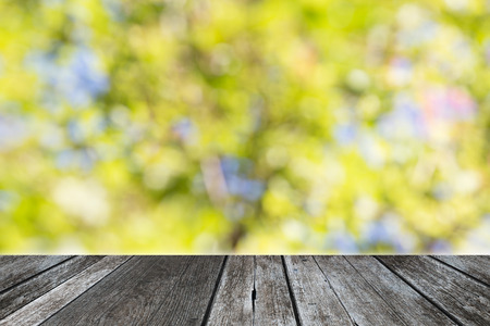 Abstract blur green natural background with defocused light with wood plankの写真素材