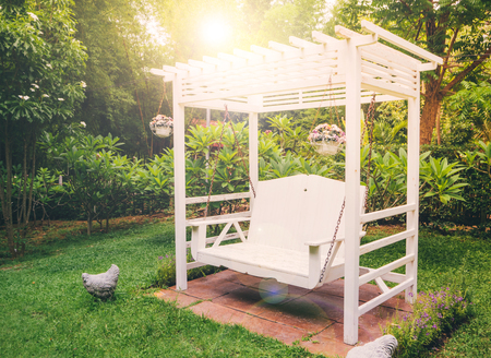 Green garden in the backyardの写真素材