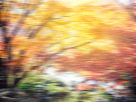 Motion blur autumn forest a natural background