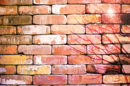 Abstract brown brick wall wiht tree painting for backgroundの写真素材