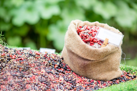 Mix cereal ingredient in the bag with space signの写真素材