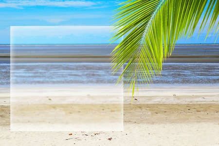 summer beach concept for backgroundの写真素材
