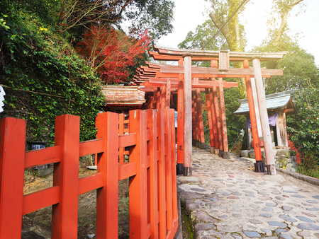 Saga,Japan Dec 9, 2015: Yutoku Inari Shrine with color change of autumn leave in Kashima city, Saga prefecture ,Japanのeditorial素材