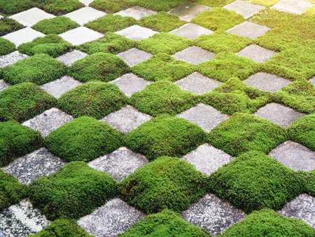 Green grass and rock patterns in the garden for backgroundの写真素材