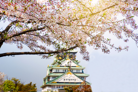 Osaka castle with cherry blossom tree branch in spring season. Japan travel destinationのeditorial素材