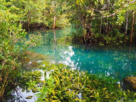 Natural blue pond with clear water among the mangrove in Krabi province, Thailandの写真素材