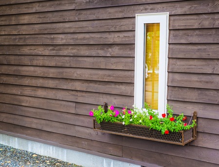 Perspective wooden wall with window and colorful flower pot decorationの写真素材