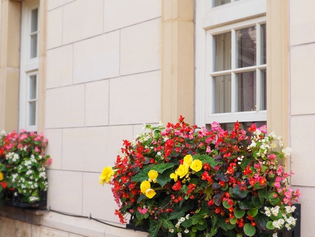 Colorful flower pot hanging outside the window decorating the wallの写真素材