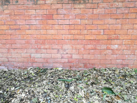 Dry leaf fall down on the floor and Red brown brick block wall background in backyard garden at home