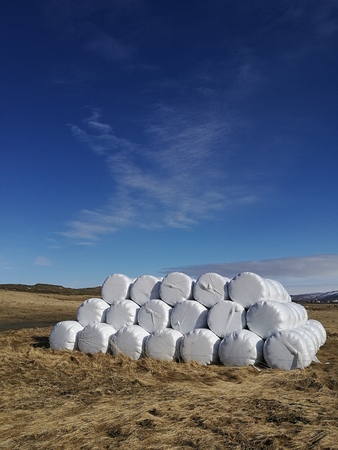 Dry hay bale in white plastic bag, Agriculture field on sunny sky,Iceland rural nature farm land,Straw on meadow,Wheat yellow golden harvest,countryside natural landscape,haystacks straw vertical viewの写真素材
