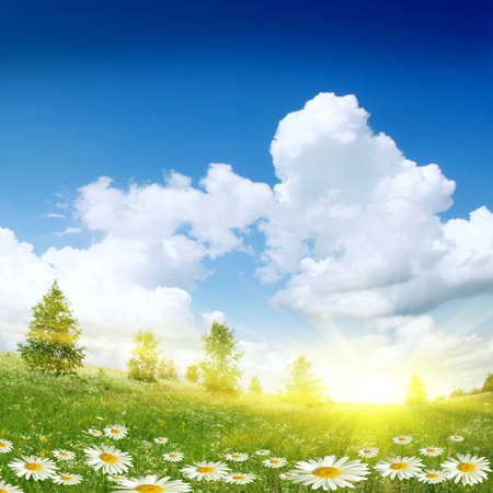 Beautiful natural backgroundの写真素材