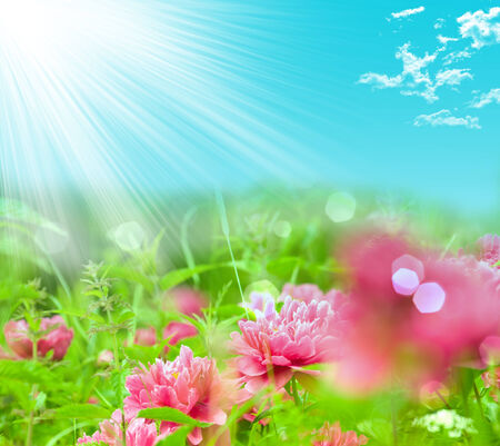 Beautiful natural backgroundの写真素材