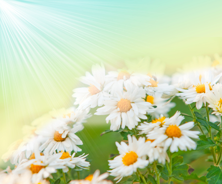 Beautiful natural backgroundの写真素材