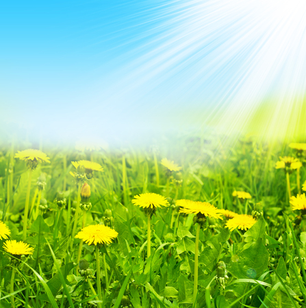 Beautiful natural backgroundの写真素材