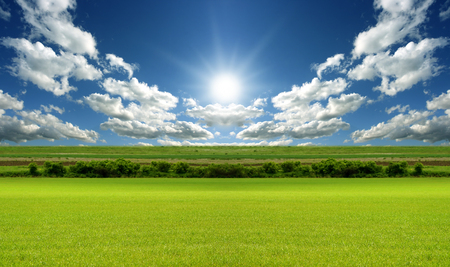 Flower field in spring Elements of natureの写真素材