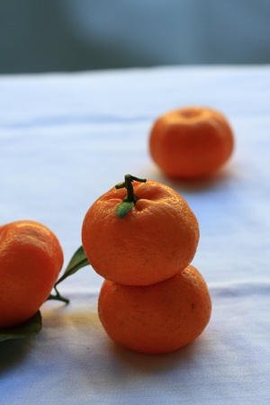 The four oranges on white cloth の写真素材