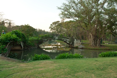 Natural garden viewの写真素材