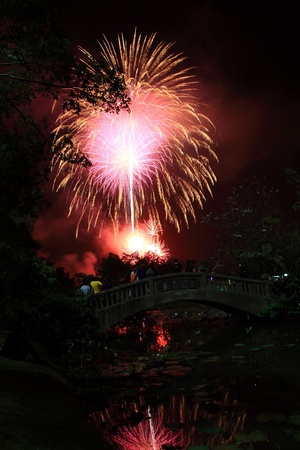 Event firework of king birthdayの写真素材