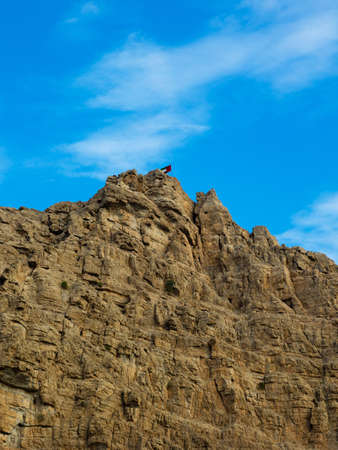 Flag of UAE flying at the top of majestic Jebel Jais mountain in Ras Al Khaimah, United Arab Emirates from the highest viewing area.の写真素材