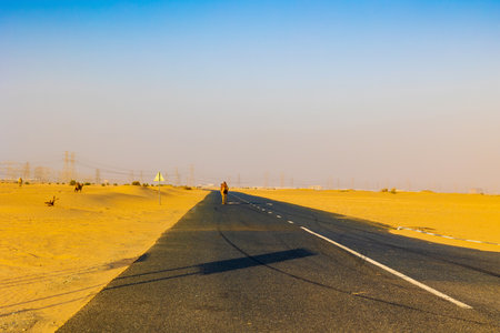 Lonely Desert Road in Dubai United Arab Emirates. Road covered by sand and a Camel walking on the road.の写真素材