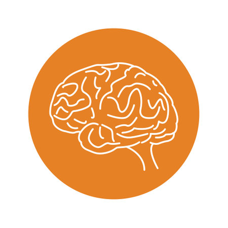 Human brain icon - vectorのイラスト素材