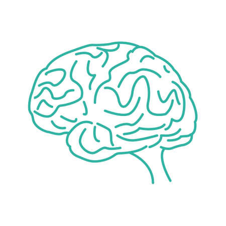 Human brain icon - vectorのイラスト素材
